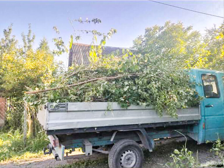 Вывоз
